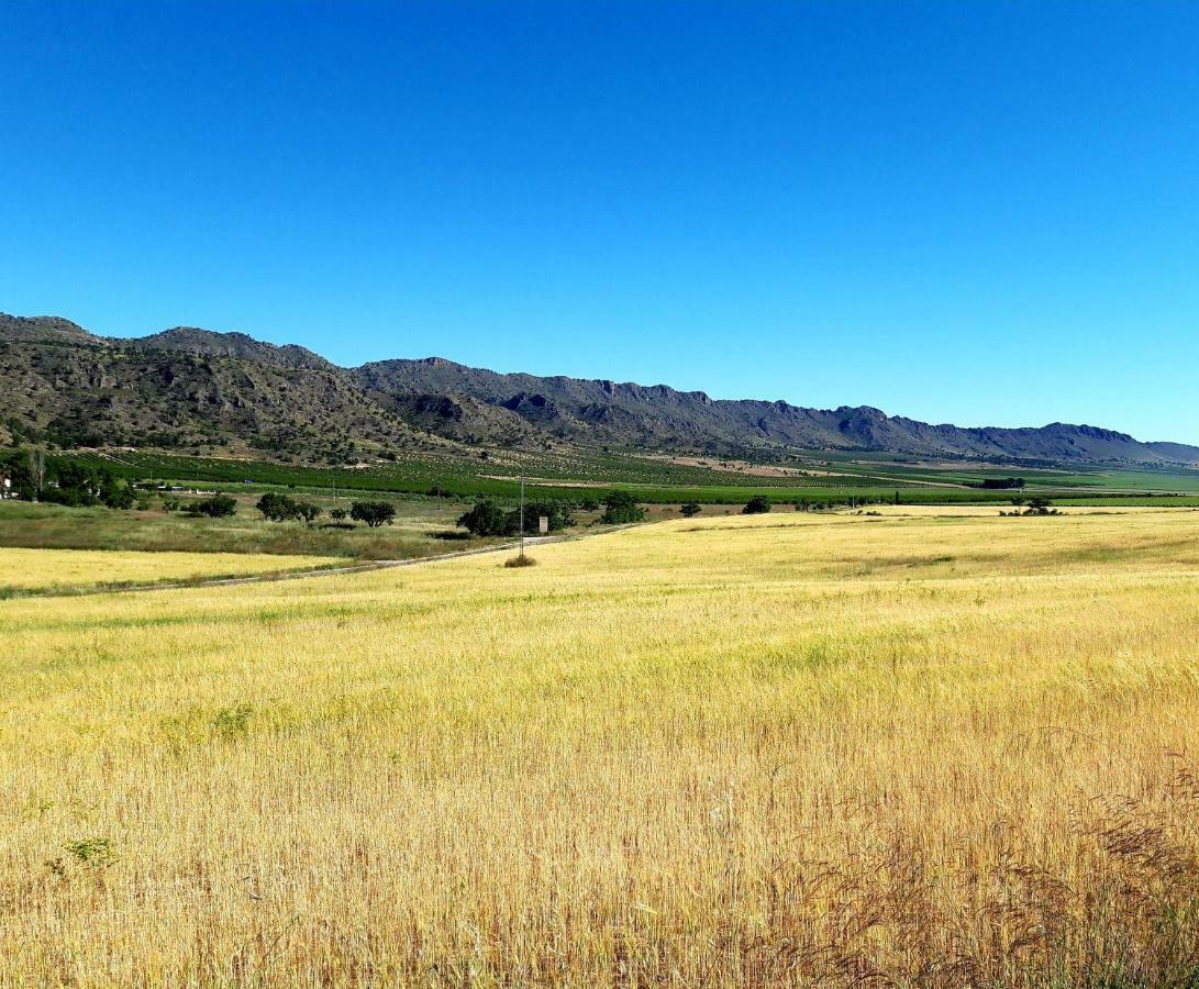 Casa Vidal Relax Al Pie De La Sierra Villa Yecla Bagian luar foto